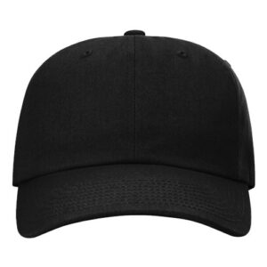 Richardson 254RE Sustainable Ashland Dad Hat